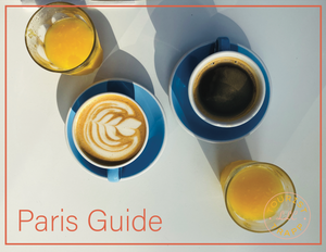 PARIS TRAVEL GUIDE